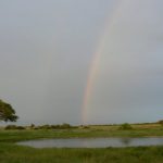 Rainbow at watering hole after a rain storm