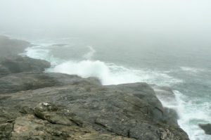 Diaz Point rocky coast