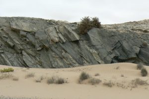 Ancient basalt rock