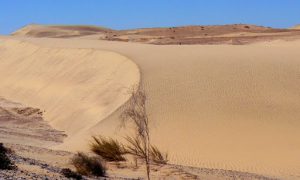 Dunes east of Luderitz