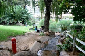 Windhoek central park named Zoo Park after ancient elephant remains