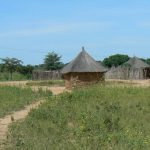 Ovambo village houses