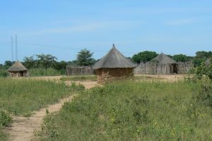 Ovambo village houses