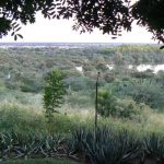 Looking across Okavango River to Angola