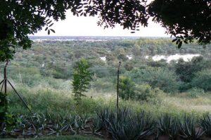 Looking across Okavango River to Angola