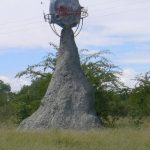 Planet Baobab is a traditionally styled mud Kalanga and Bushmen