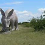 Planet Baobab is a traditionally styled mud Kalanga and Bushmen