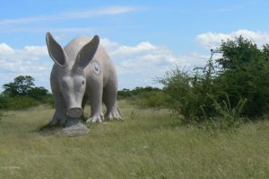 Planet Baobab is a traditionally styled mud Kalanga and Bushmen