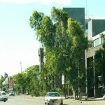 Francistown is the second largest city in Botswana, with a