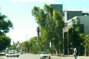 Francistown is the second largest city in Botswana, with a