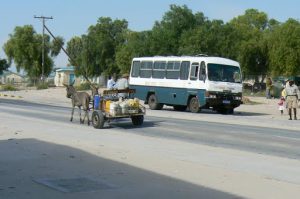 Common forms of rural transport