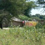 Ovambo tribal village near the Okavango River