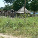 Ovambo tribal village near the Okavango River