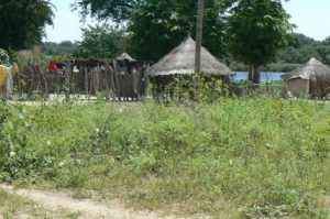 Ovambo tribal village near the Okavango River