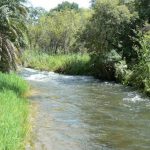 The Okavango River drops four meters in a series of