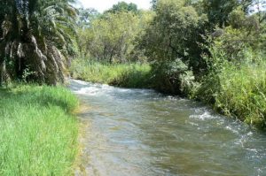 The Okavango River drops four meters in a series of