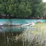 In the Area of Maun city are numerous lodges on