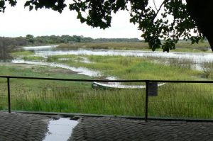 Riverfront at the Island Safari Lodge