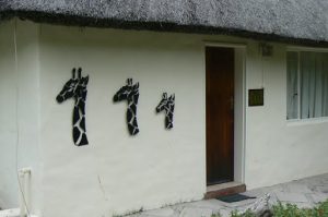 Rooms at the Island Safari Lodge