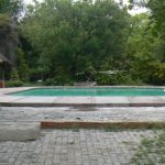 Swimming pool at the Island Safari Lodge