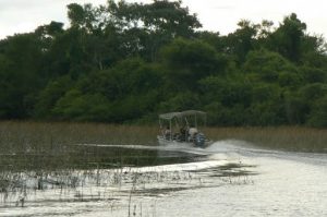 Tour into the Delta begins with a motorboat ride