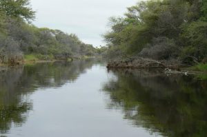 Inside the Delta are many small rivers that branch off