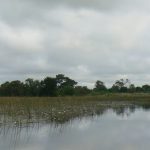 Inside the Delta are many small rivers that branch off