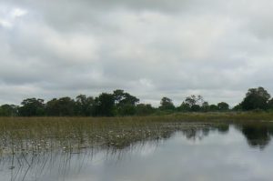 Inside the Delta are many small rivers that branch off