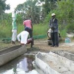 Transfering from motorboat to mokoro canoes