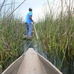 Mokoro canoes are pole driven.