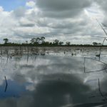 Open skies of the Delta