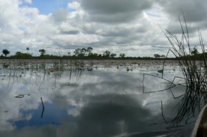 Open skies of the Delta