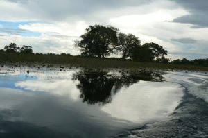 Water and sky pattens