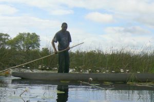 Local fisherman