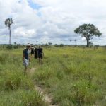 Going for a trek on Ditshipi Island in the Delta