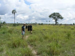 Going for a trek on Ditshipi Island in the Delta