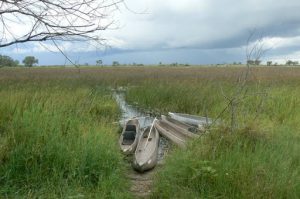 Our canoes (mokoros) were made of fibeglass and wood