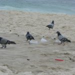 Brazil - Copacabana Beach is sometimes not well cared for