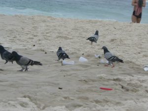 Brazil - Copacabana Beach is sometimes not well cared for