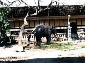 Colombo-Gangaramaya Buddhist Temple