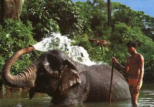 Washing in the river