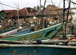 West coast fishing boats