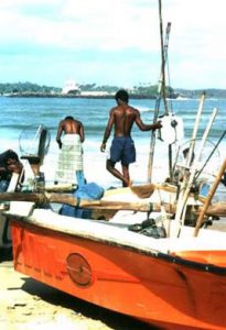 Galle-fishing boats