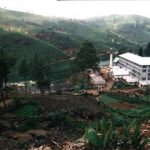 Ceylon' tea factory-central highlands