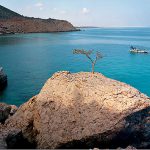 Yemen's Galapagos; Socotra, an island off of the Arabian