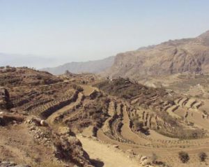 Yemen - Terraced hillside farming in the highlands (photo credit: http://www.travelblog.org/Photos/307090)
