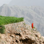 Oman - Al Jabal Al Akhdar farms