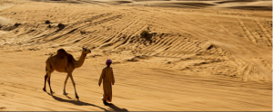 Oman - desert scene