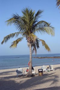 Oman - Qurum beach