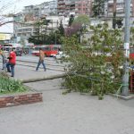 Turkey, Istanbul - after a wind storm